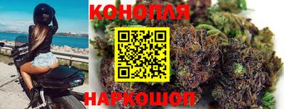 ALPHA PVP Нальчик