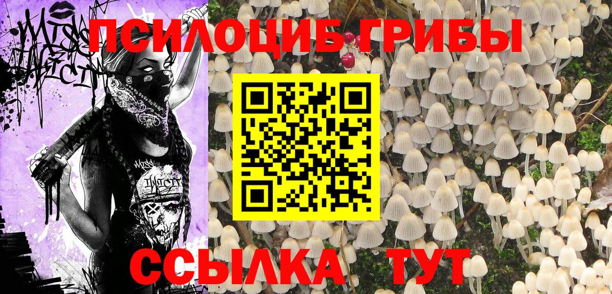 Псилоцибиновые грибы прущие грибы  Галлюциногенные грибы Psilocybe  Вход с VPN  Сокол 
